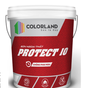 protect 10.png